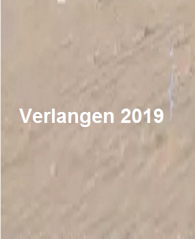 دانلود فیلم Verlangen 2019