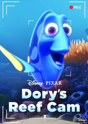 دانلود انیمیشن دوربین صخره ای دوری Dory’s Reef Cam 2020