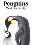 دانلود مستند پنگوئن ها: با خانواده آشنا شوید Penguins: Meet the Family 2020